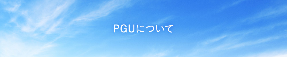 PGUについて